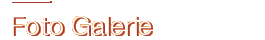 Foto Galerie